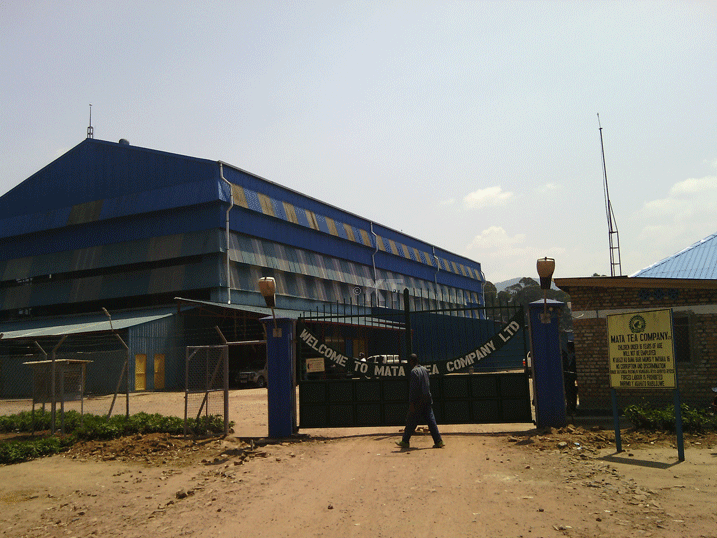 Uruganda rw'Icyayi rwa Mata.