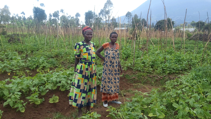 Abahinze ibishyimbo bya kijyambere bahangayikishijwe n