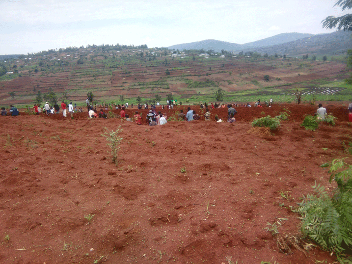 Abaturage batunganyije imirima bategereje imbuto