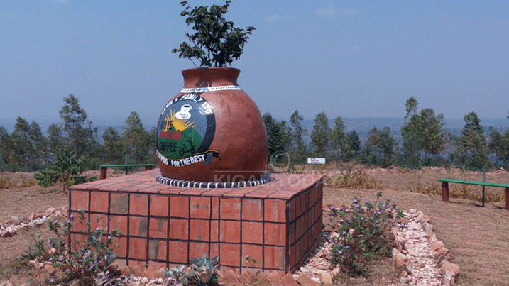 Akabindi kagaragaza ko Abanyarwanda badakwiye guhinga ikawa gusa ahubwo no kuyinywa