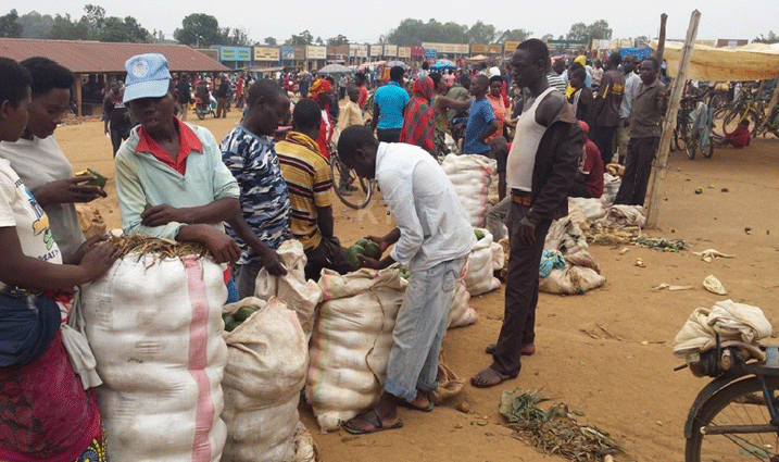 Abakora ubu bucuruzi, baranguza Avoka mbisi, abaziguze bakaba ari bo bazitara; na bo bakazazigurisha zihiye.