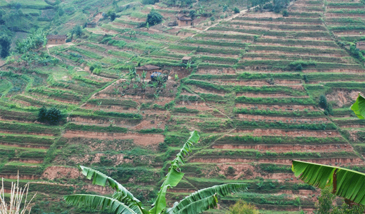 Amaterasi bafashijwe gukora aratuma babona umusaruro kuko ubutaka bwabo butagitwarwa.