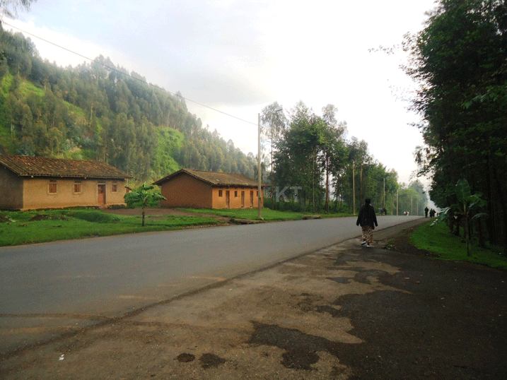 Ku mihanda, bahateye insina nk'iziranga ibirori by'ubukwe.