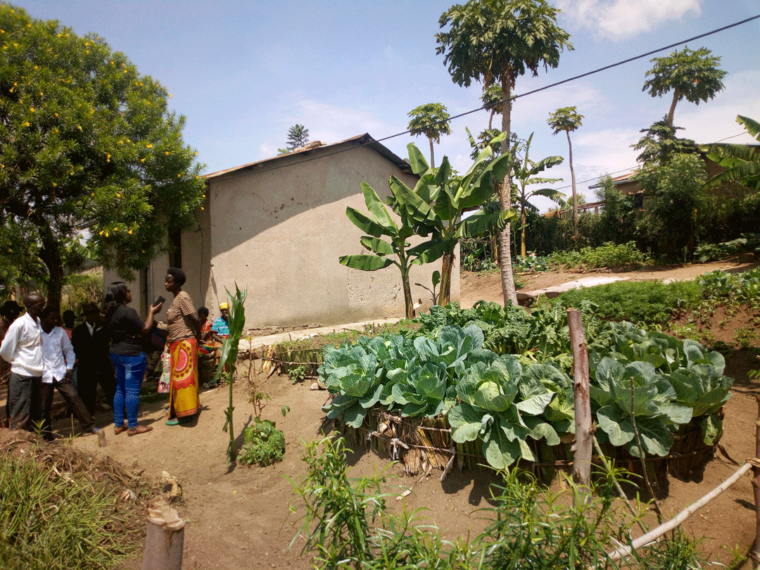 Gusimbuza imbuga imbuga imboga barabiratira abatarabigerageza