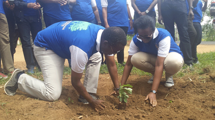 Minisitiri Biruta n'umuyobozi wa BK batera ibiti i Nyagatare