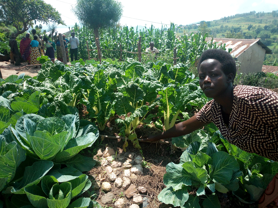 Nyirambibi asarura imboga agatekera abana agasigariza n'abaturanyi cyangwa akagurisha