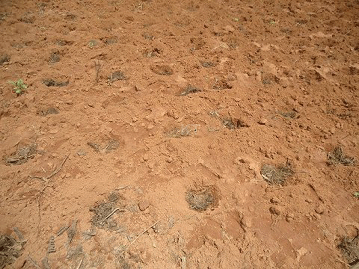 Uyu murima uhinze mu "Buryo bw