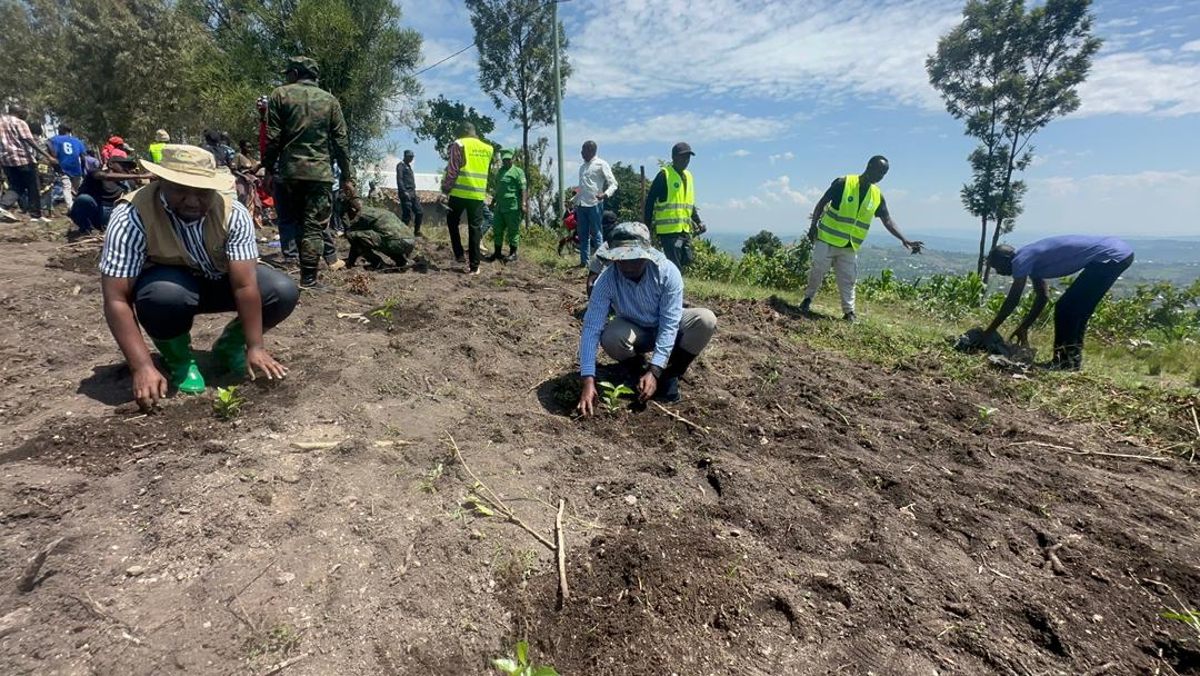 Umuyobozi muri NAEB n