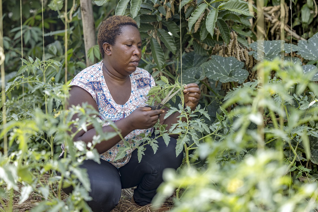 Namahoro avuga ko imboga ahinga zahinduriye ubuzima umuryango we