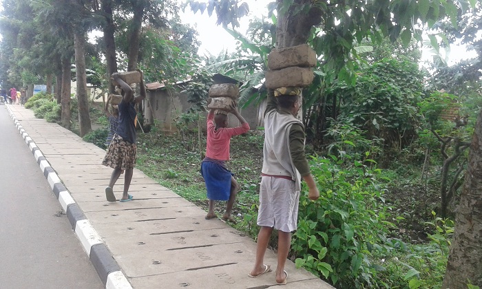 Abana bava mu mashuri bakajya gukora imirimo ivunanye