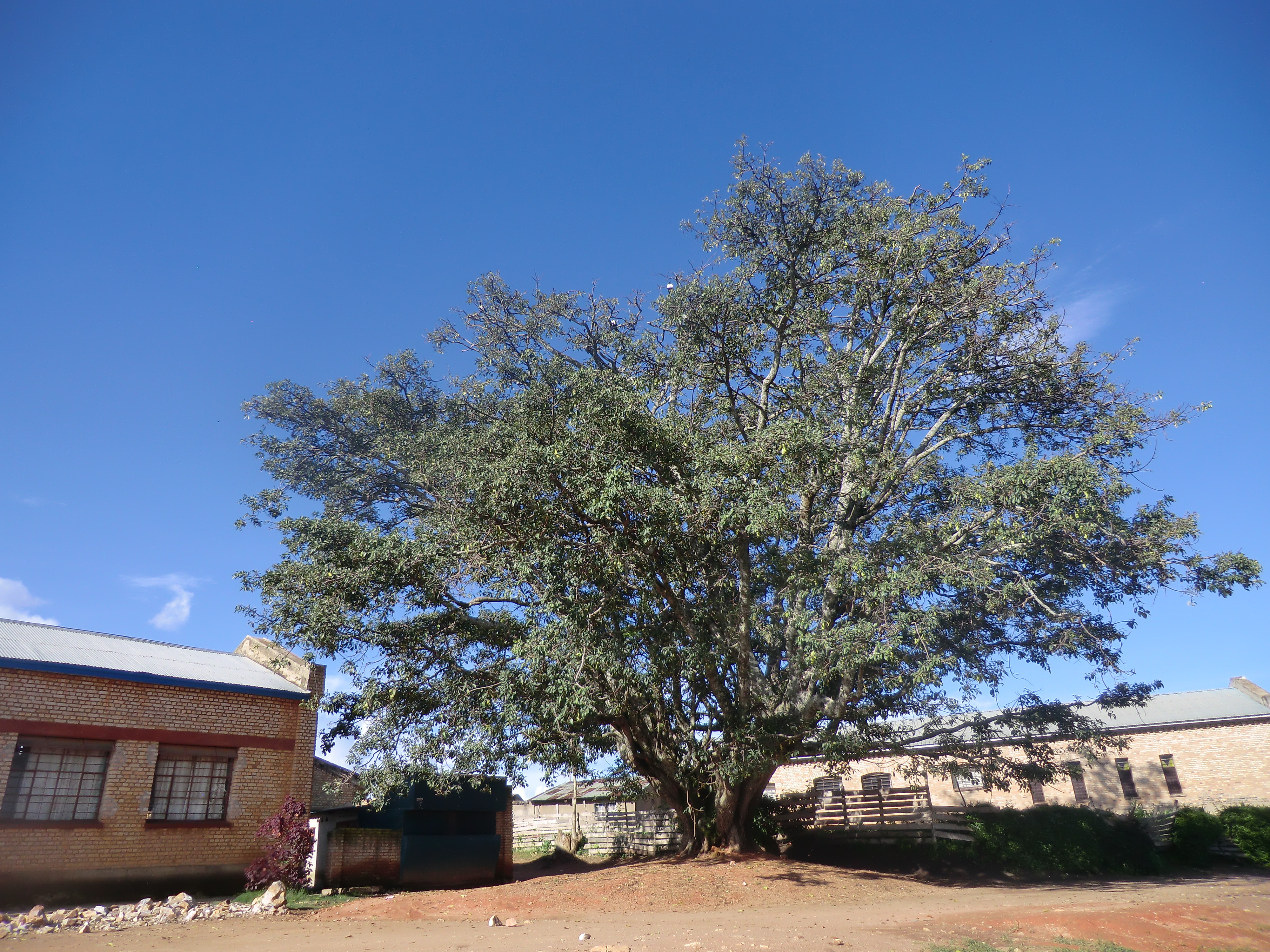 Ikigabiro kiri ahahoze urugo rw'Umwami Yuhi V Musinga mu Gakenyeri i Nyanza