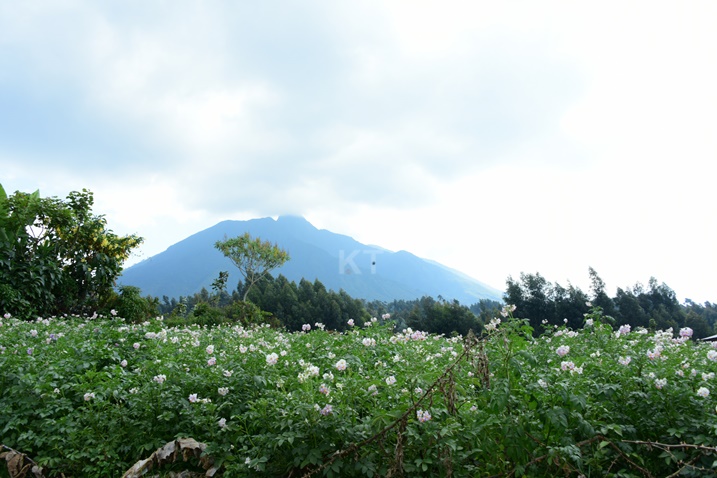 Aho uba uri hose uba witegeye n'ibirunga.