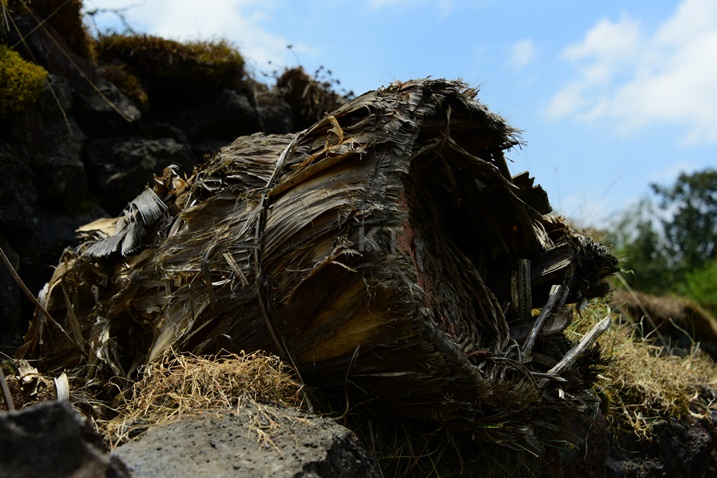 Hari n'imizinga y'inzuki itanga ubuki.