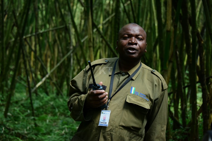 Uyobora abakerarugendo ari kubasobanurira byinshi kuri iyi pariki.