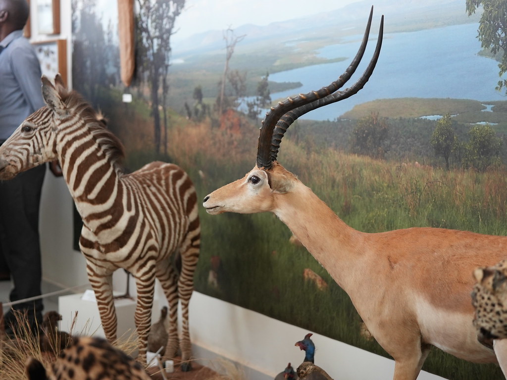 Mu Ngoro ndangamurage y