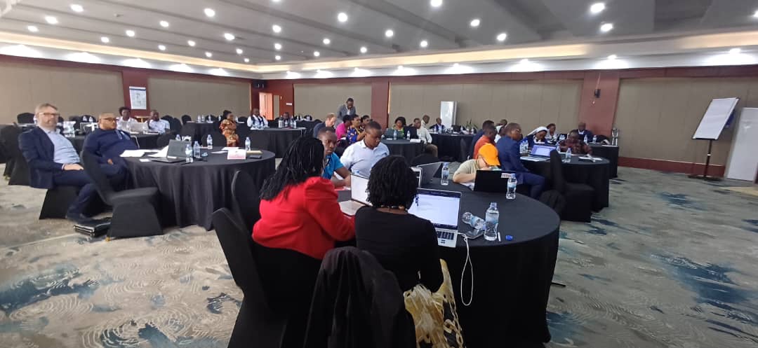 Abitabiriye imurikwa ry'ubushakashatsi ku iterambere ridaheza 