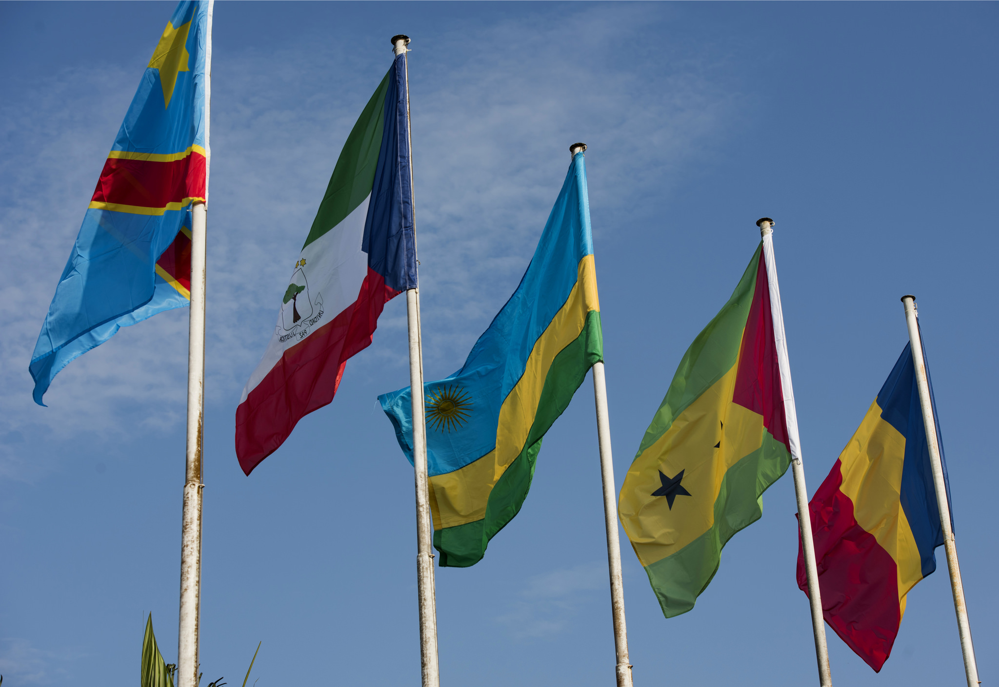 Iyo nama ihuje ibihugu byo muri Afurika yo hagati 