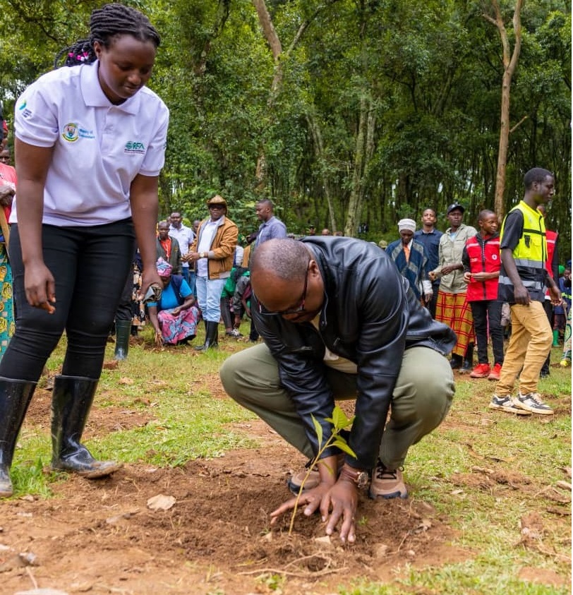 Minisitiri w'Intebe Dr. Justin Nsengiyumva atera igiti i Karongi