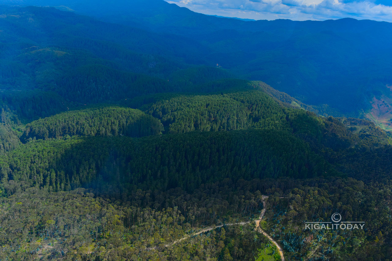 Ishyamba rya Nyungwe rinarimo Pariki