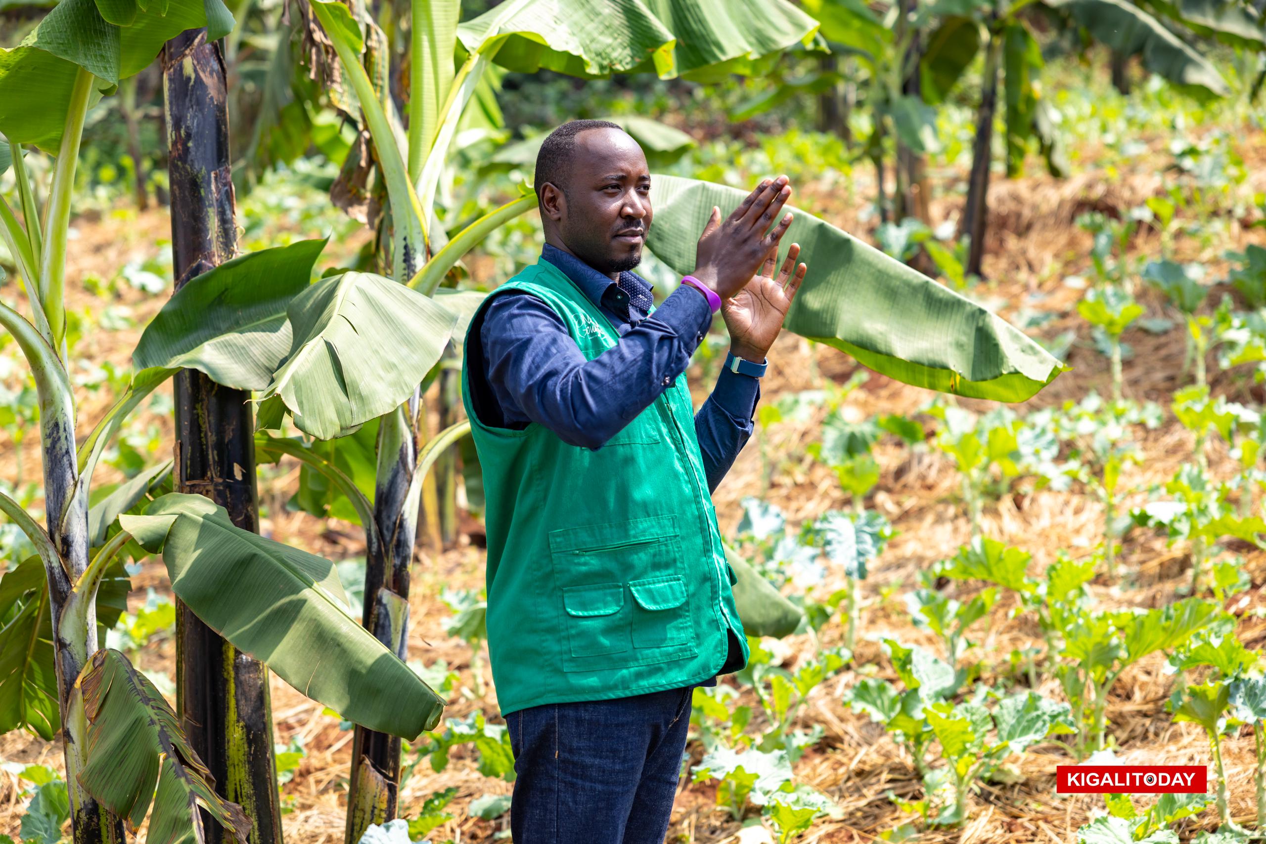 Uburyo bahingamo ngo birinda gukoresha ifumbire mvaruganda n'indi miti ikoreshwa mu buhinzi kubera kwirinda ko bishobora kugira ingaruka ku barwayi bahabwa amafunguro bateguye