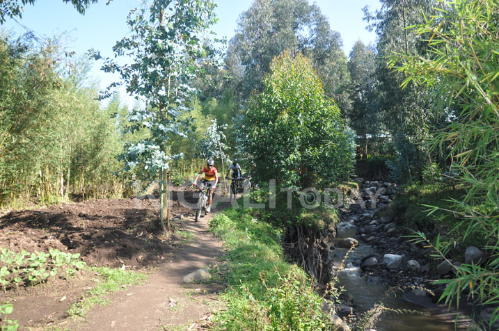 Biteguye no kunyura mu mashyamba