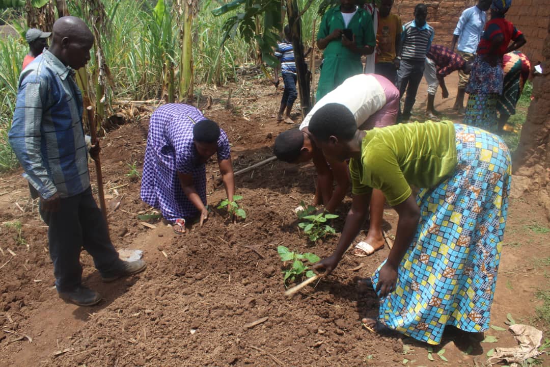 Umushinga wa EDC wigisha ababyeyi gukora uturima tw'igikoni, bagahinga imboga zunganira mu mirire y'abana