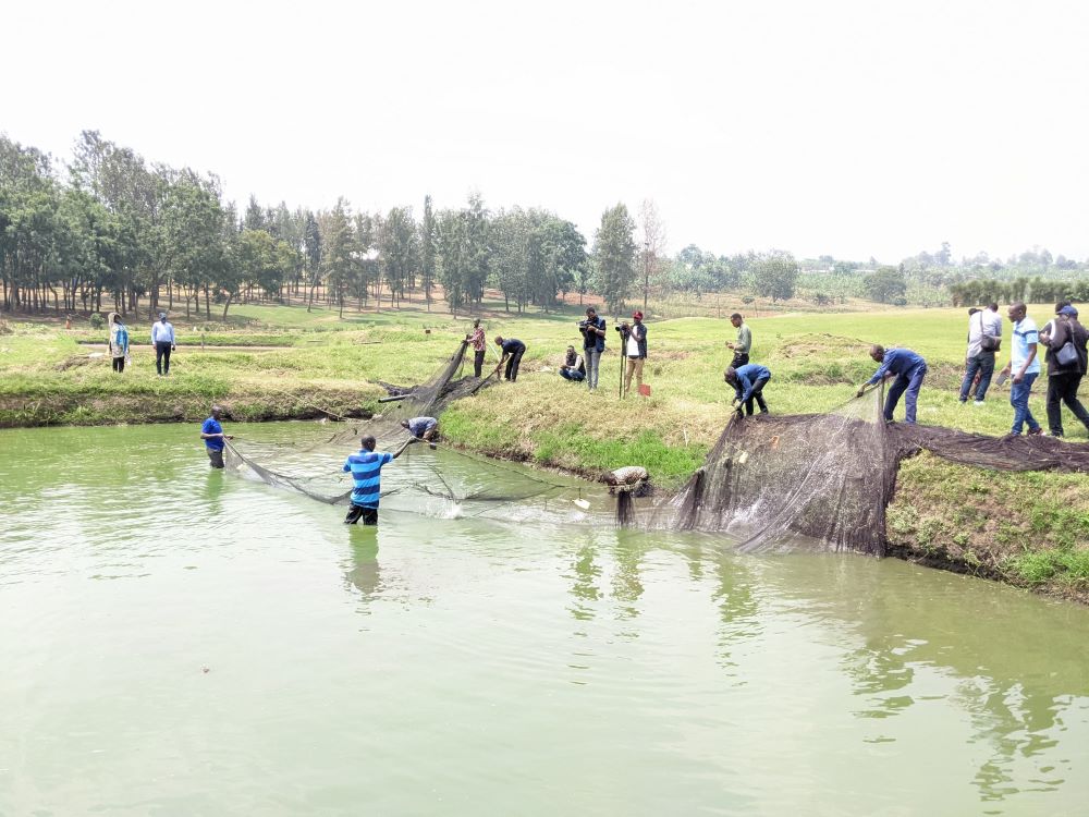 Ubworozi bw'amafi buratanga icyizere