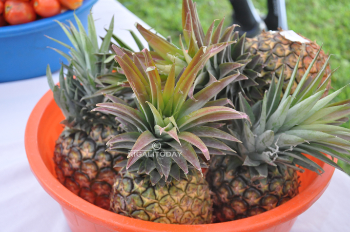 Bimwe mu byo basarura bakabigurisha ibindi bakabikoramo ibindi bicuruzwa