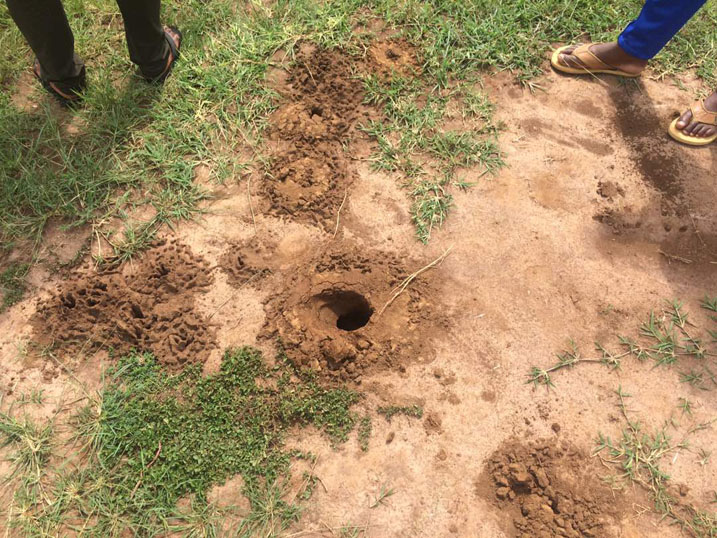 Ikibuga cyibasiwe n'imiswa