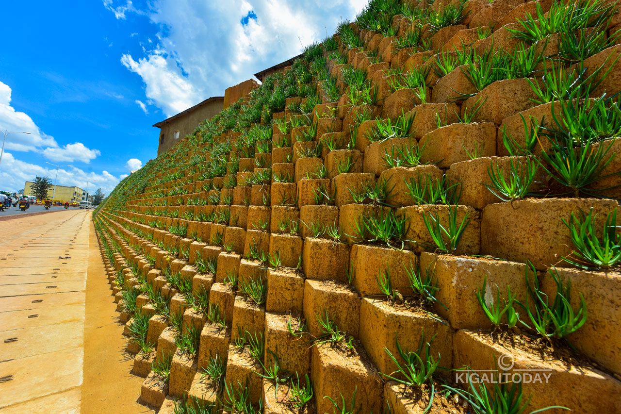 Ku nkengero z'imihanda ahari imikingo yatengukaga, hashyizwe ubusitani