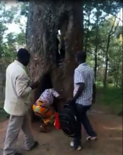 Uyu umuvugabutumwa ari ku mucengeza mu mizi y'ibiti