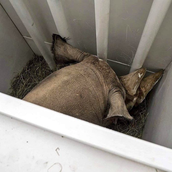 Zikigera mu Rwanda zagaragazaga umunaniro