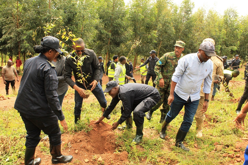 Mayor habarurema na we n'izindi nzego batera ibiti