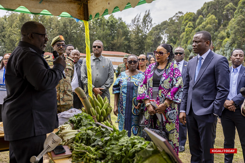 Ubuhinzi bwa kijyambere. Bimwe mu bikorwa byagezweho n'abatahutse mbere