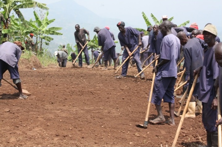 82 batorotse TIG mu karere ka Ngororero.