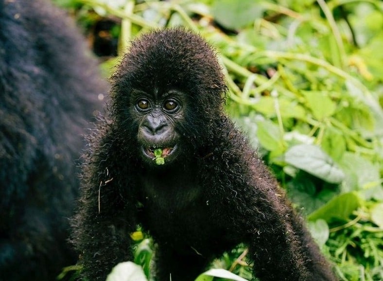 Abaturage bamenye akamaroko kubungabunga ibidukikije