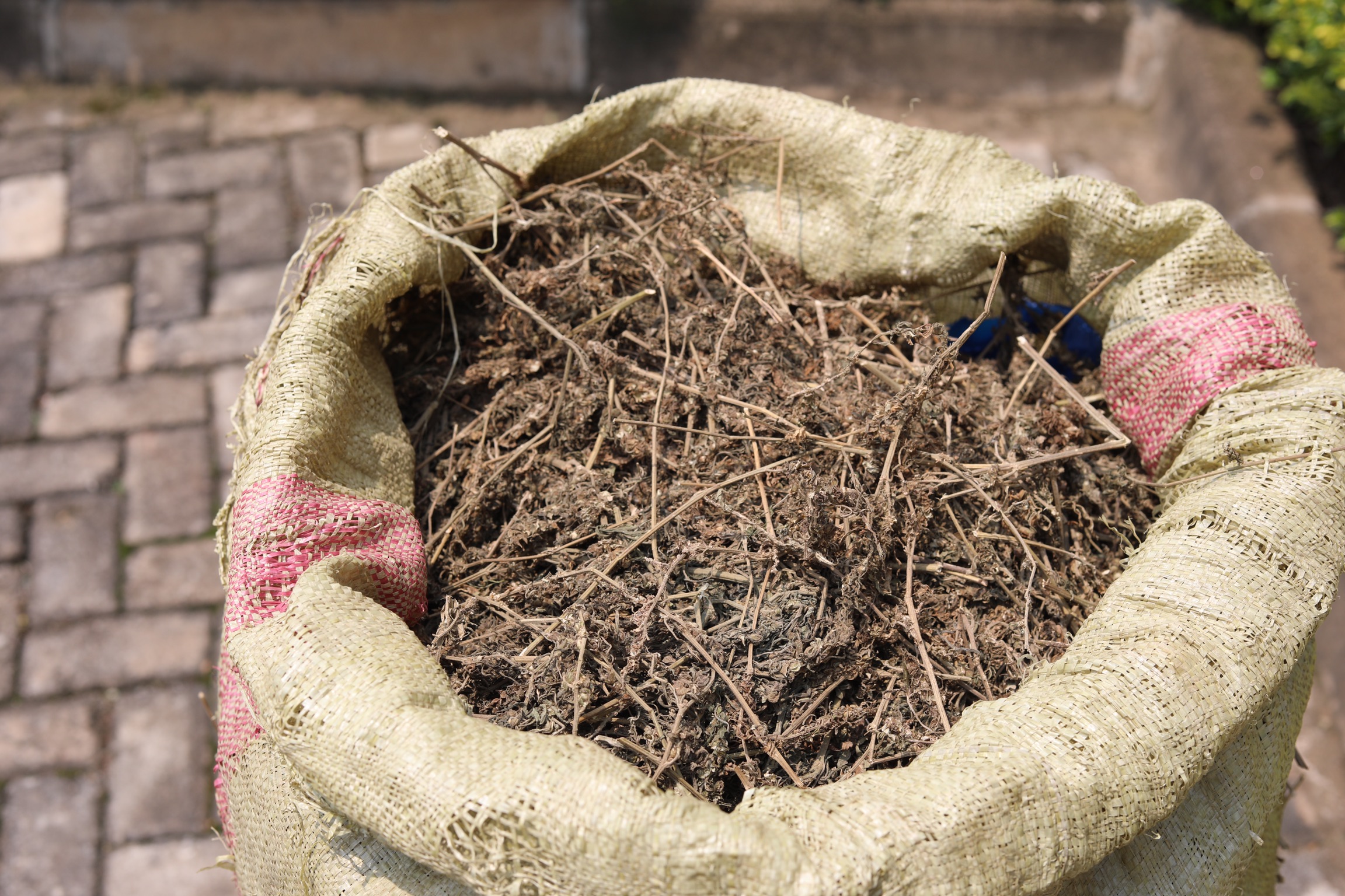Yafatanywe umufuka w'urumogi ufite 20kg