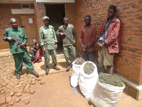 Abacunga pariki ya Nyungwe nibo bafashe abo bagabo barikumwe n'abana babo.