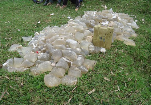 Abacuruza kanyanga bayikura muri Uganda bayitwaye mu mashashi cyangwa amajerikani.