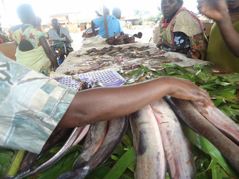 Abagura amafi mu isoko rya Gafunzo mu Karere ka Ngoma bavuga ko ahenze.