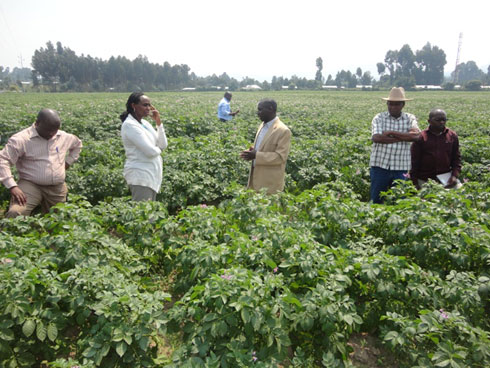 Abahinzi basobanura uburyo bakoze urugendo shuri mu Buholandi bakaza bahinga uyu murima w