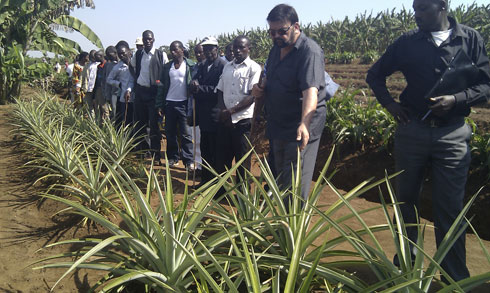 Abahinzi batunguwe n