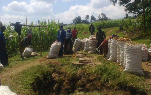 Abahinzi bavuga ko abacuruzi babaha amafaranga make kubera ubukene bikabatera igihombo.