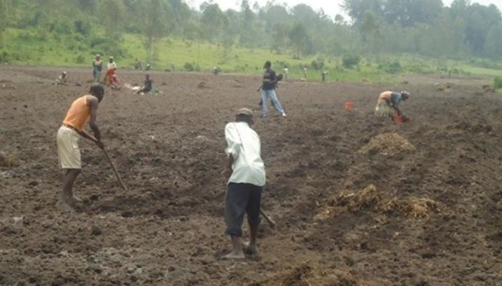 Abahinzi barimo gutera imbuto z