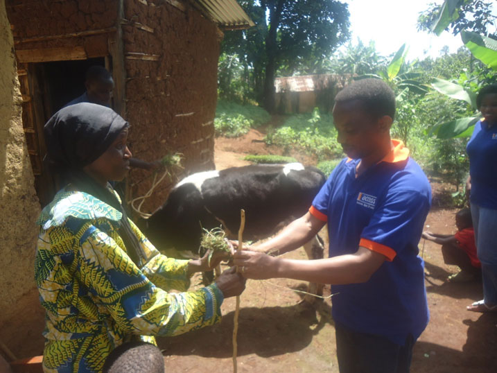 Abakozi ba Access Bank banshyikiriza umukecuru warokotse Jenoside inka n