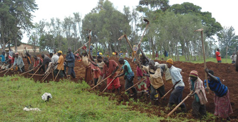 Abamugaye bahawe umuganda wo guhingirwa imyumbati.