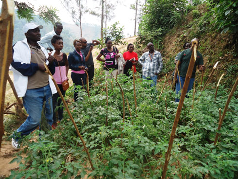 Abanyakenya bari mu rugendoshuri bareba umurima wafumbiwe n