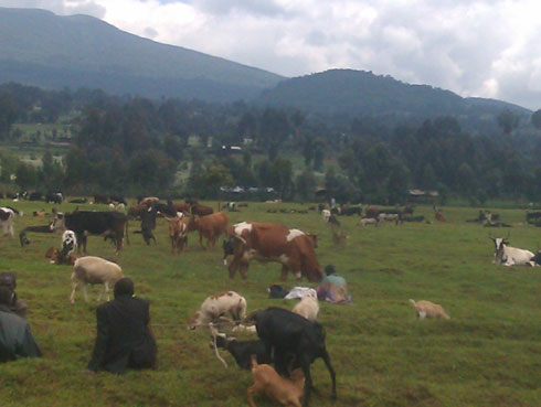 Abanyecongo bahunze n