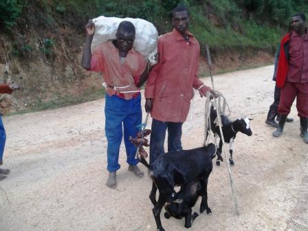 Abasore babiri bafatanye bimwe mu byo biyemerera ko ari bo babyibye.