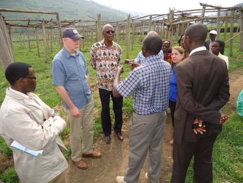 Abaterankunga bari baje kureba aho ibikorwa bya coopte Mulindi bigeze